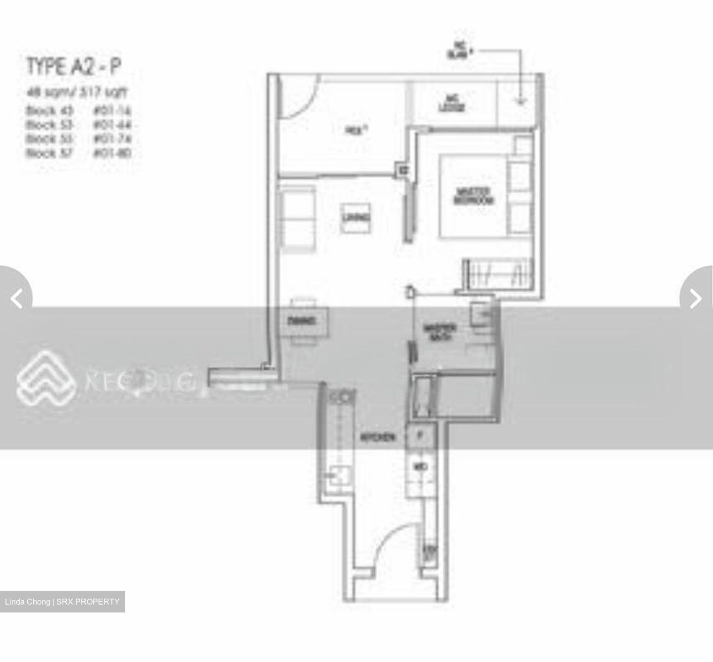 Riverfront Residences (D19), Apartment #501989821